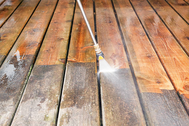 Best Animal Enclosure Cleaning  in Citrus City, TX